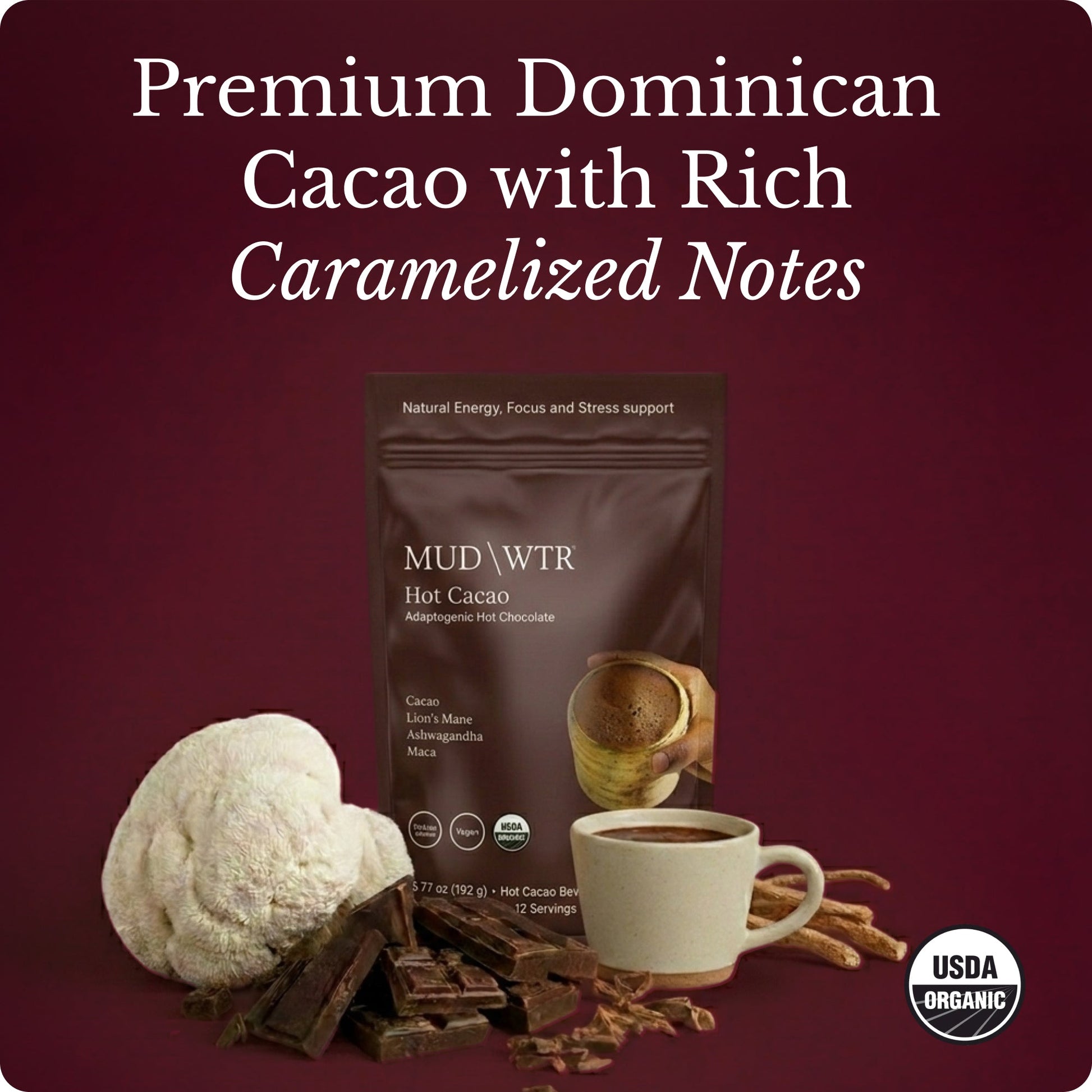 hot-chocolate-y3 Hot_Chocolate_Image_01.jpg