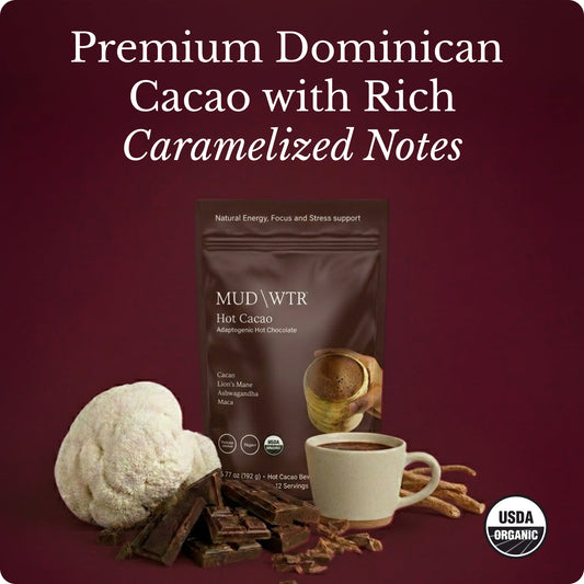 hot-chocolate-y3 Hot_Chocolate_Image_01.jpg