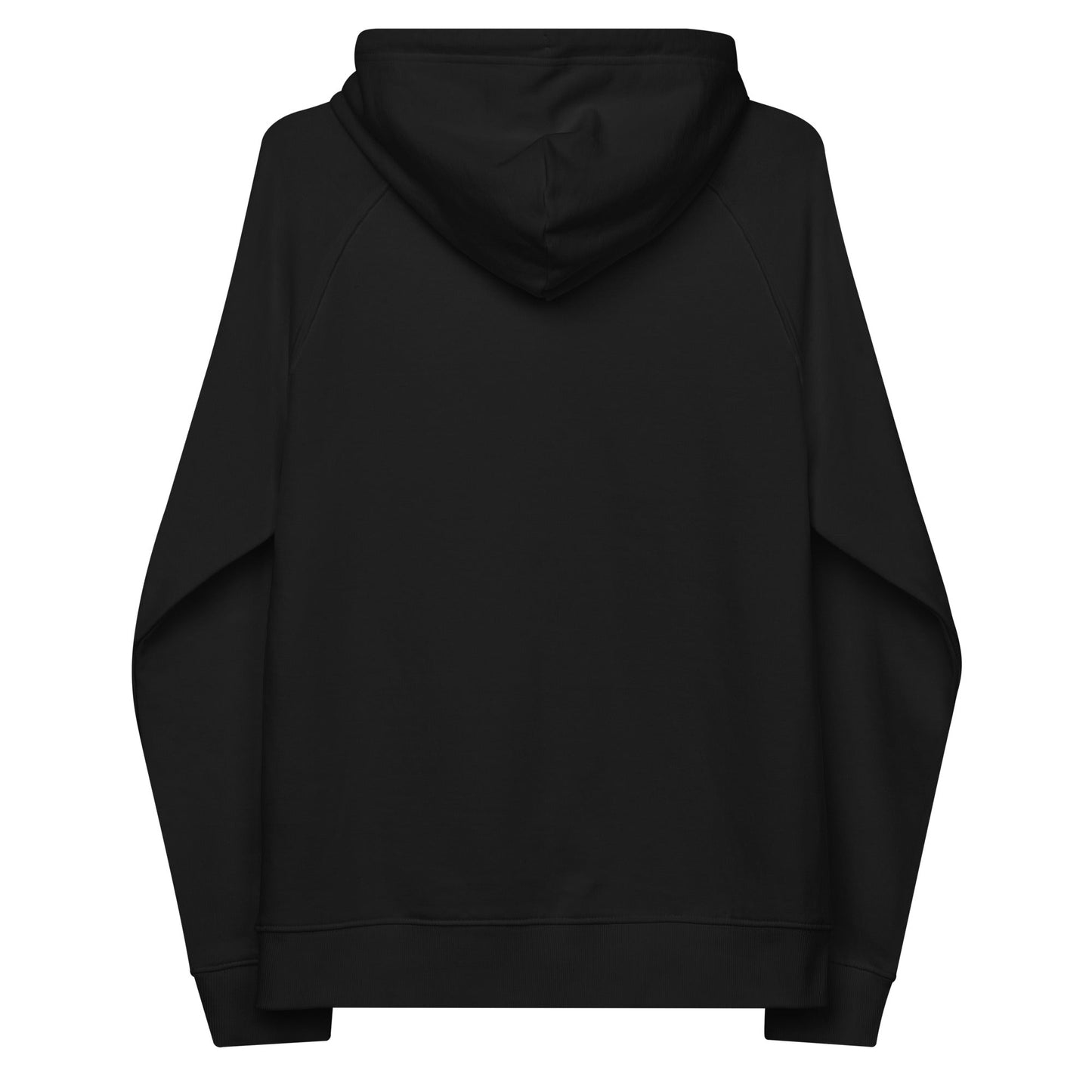 unlearn-relearn-hoodie-z0 unisex-eco-raglan-hoodie-black-back-647547b169f25.jpg