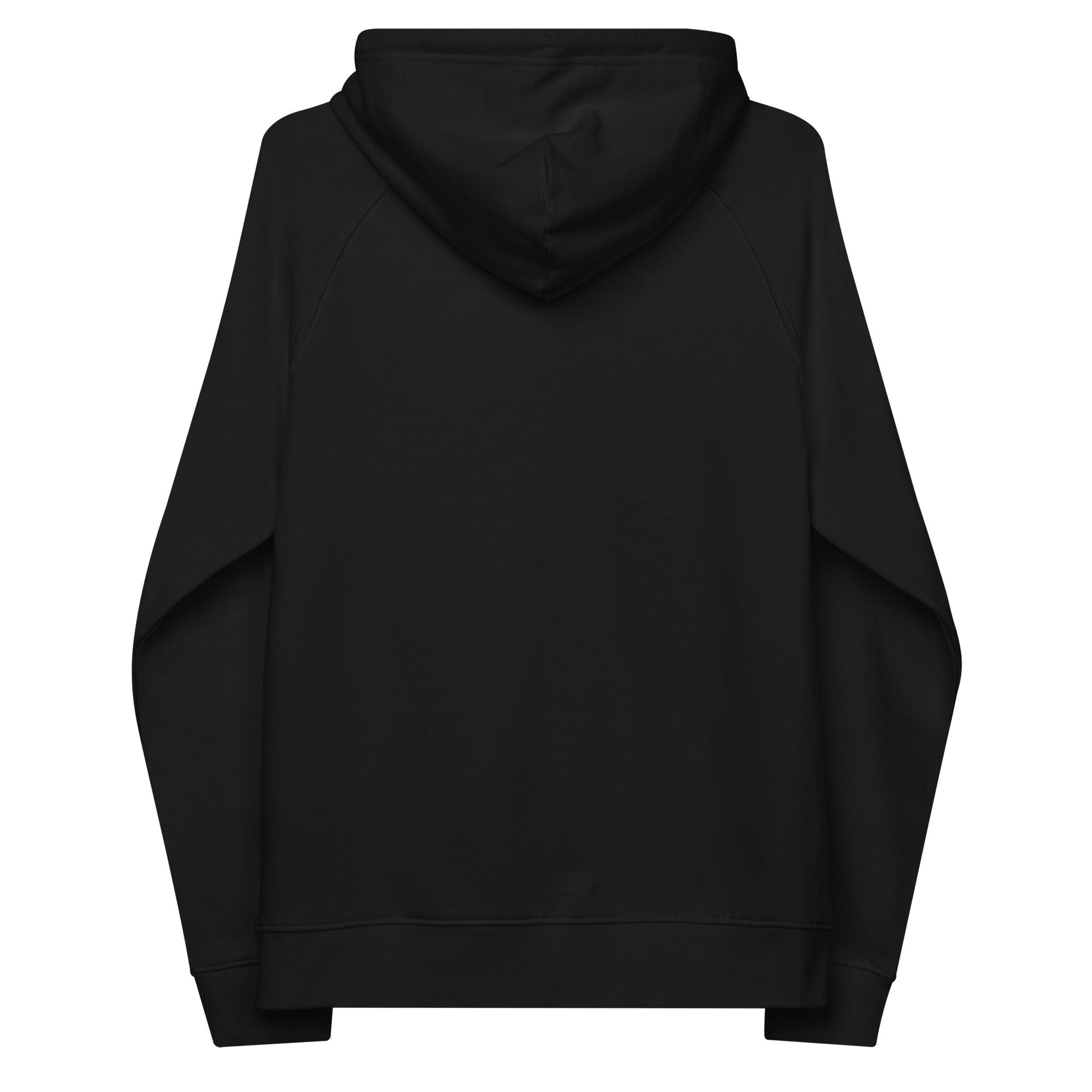 unlearn-relearn-hoodie-z0 unisex-eco-raglan-hoodie-black-back-647547b169f25.jpg